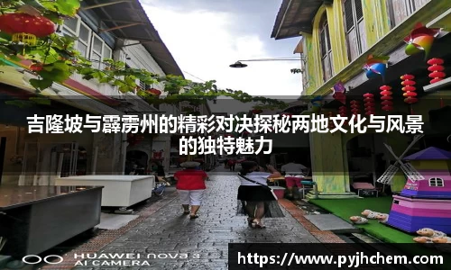 吉隆坡与霹雳州的精彩对决探秘两地文化与风景的独特魅力