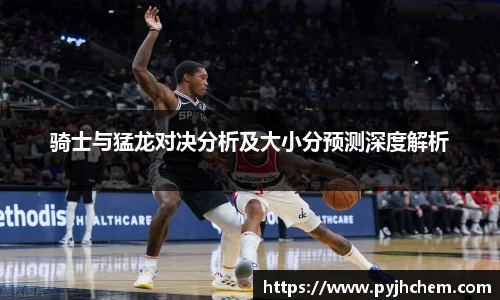 骑士与猛龙对决分析及大小分预测深度解析