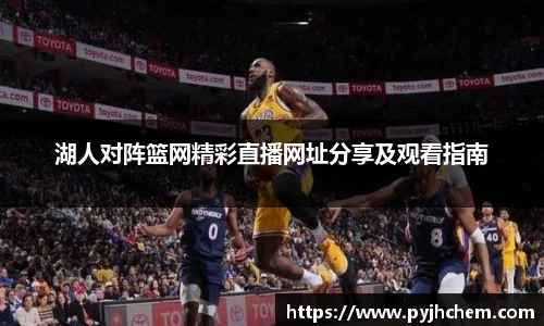 彩神VI首页官网
