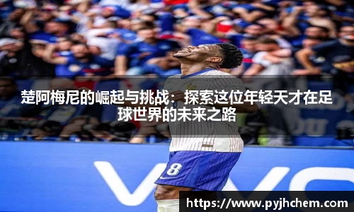 彩神彩票vIII